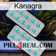 Kanagra 29